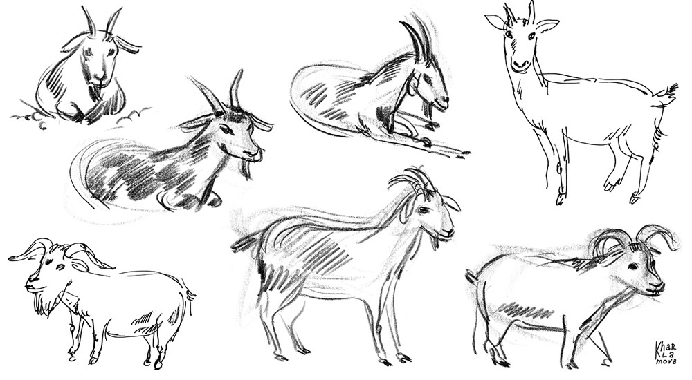 008-pen_goat.jpg
